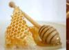 Орехи с медом – лечебные свойства, витаминный состав, в каких случаях принимать