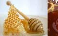 Орехи с медом – лечебные свойства, витаминный состав, в каких случаях принимать