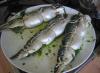 Рулет из скумбрии с желатином: пошаговые рецепты и кулинарные советы