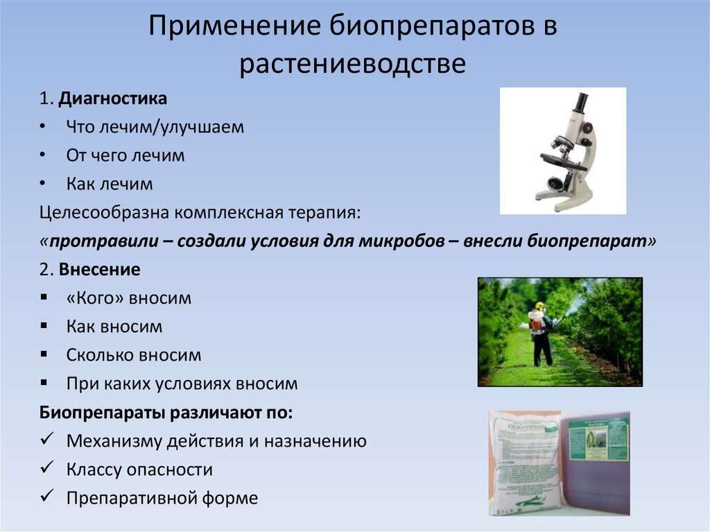 Биопрепараты для защиты растений от болезней: преимущества и особенности применения