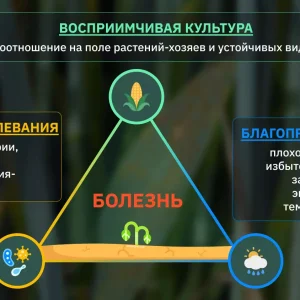 Болезни растений: симптомы, лечение и профилактика