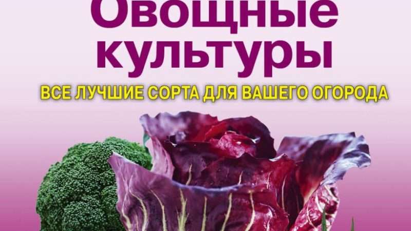 Выбираем лучшие сорта овощей для вашего огорода
