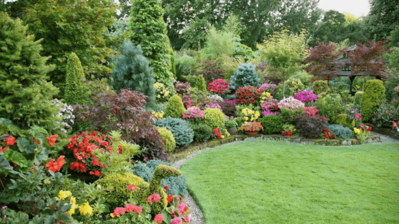 Выбор растений для дачного участка: советы и рекомендации