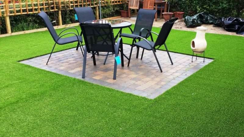 Выбор трав для газона на дачном участке