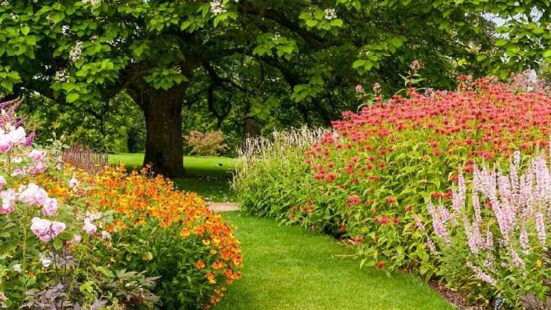 Выбор цветов для вашего сада: С чего начать?