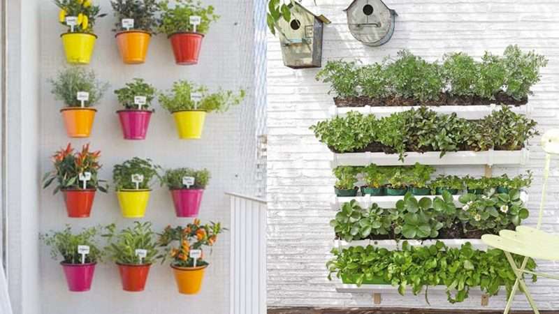 Выращивание цветов в доме: создаем свой зеленый уголок