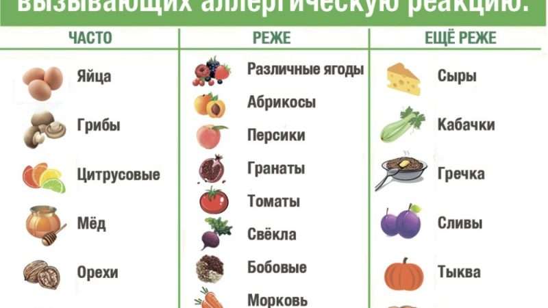 Грубые сорта овощей: польза и примеры
