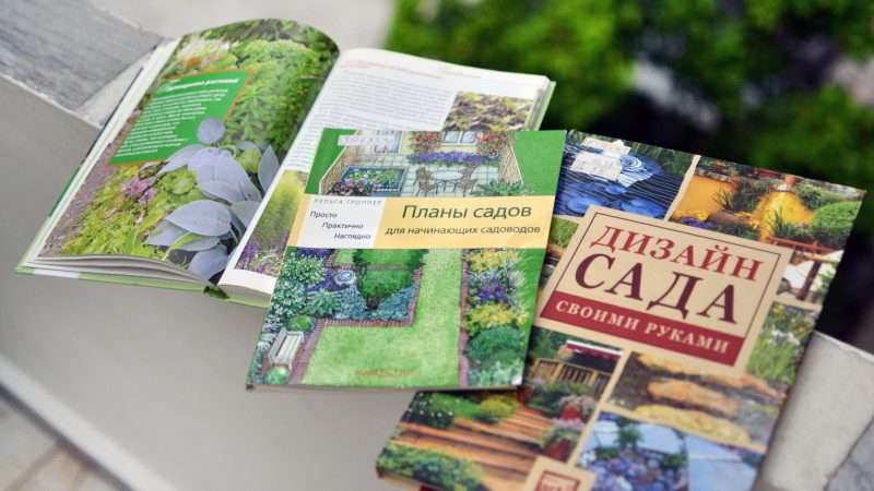 Как превратить свой дом в цветущий сад: руководство для начинающих