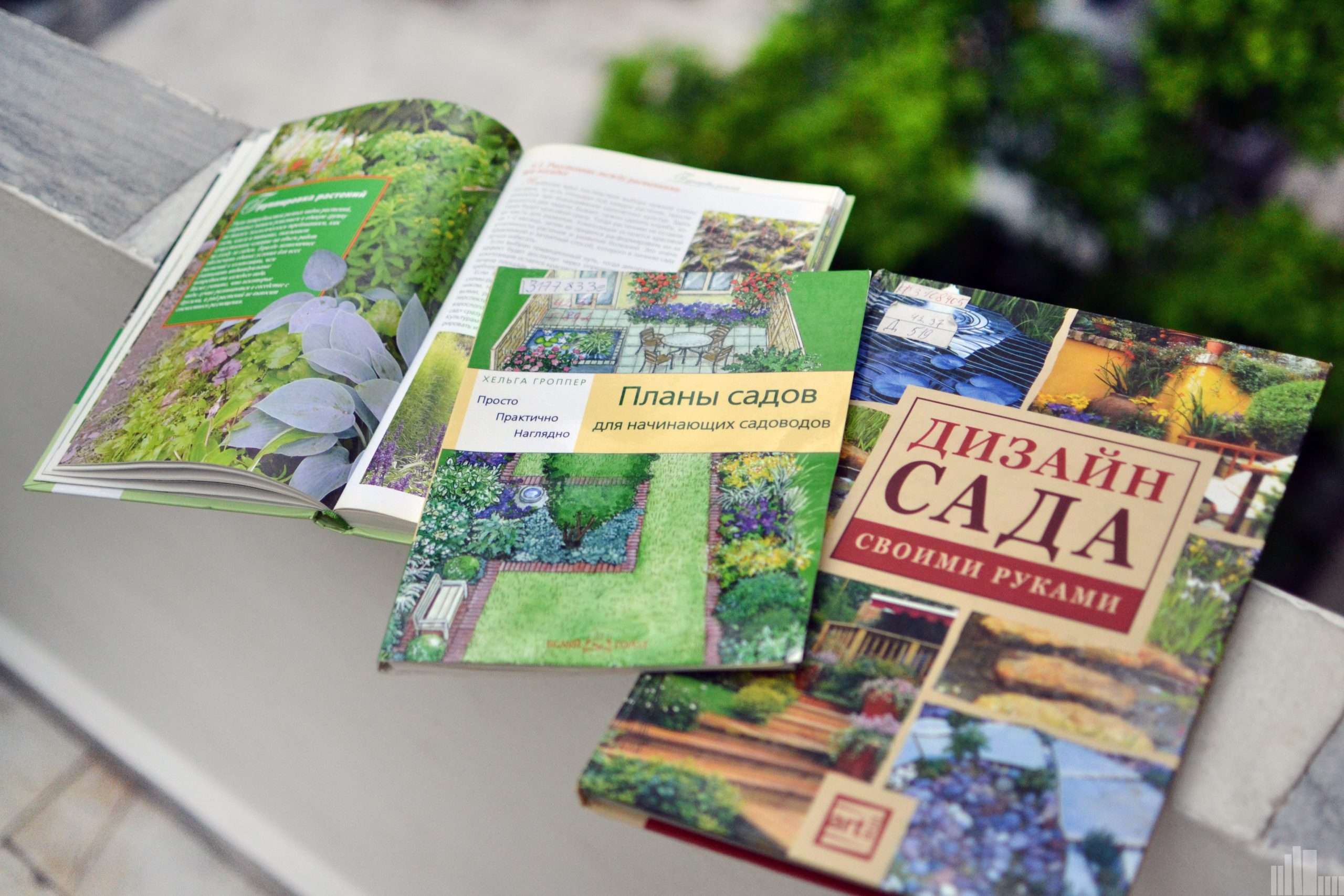 Как превратить свой дом в цветущий сад: руководство для начинающих