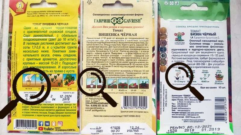 Когда сажать рассаду: Подробное руководство по выбору оптимального времени