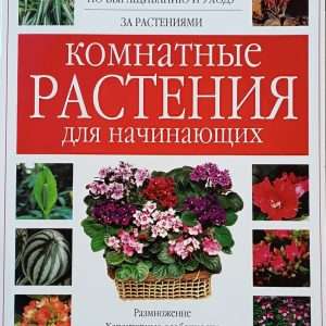 Комнатные растения: руководство по уходу для начинающих