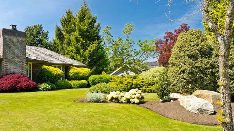 Красивый ландшафтный дизайн дачи: идеи и советы