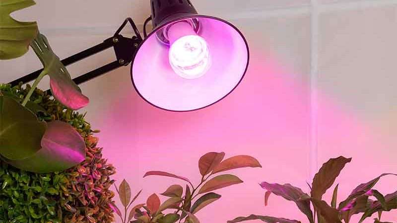 Лампы для рассады: Выбор и применение для здорового роста растений