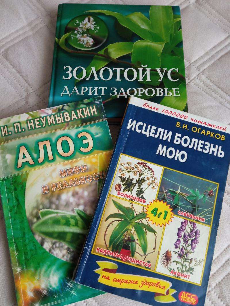 Лекарственные растения от всех болезней миф или реальность