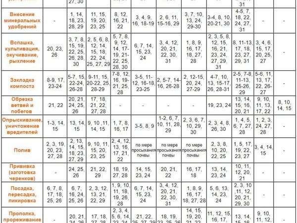 Лунный календарь для комнатных растений: руководство для садоводов