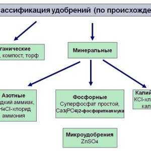 Минеральные удобрения: виды, применение и влияние на урожай