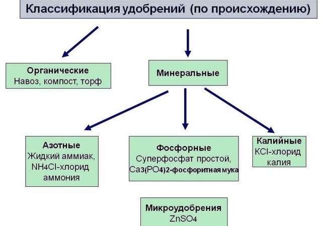 Минеральные удобрения: виды, применение и влияние на урожай