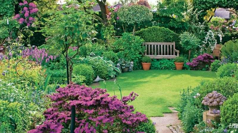 Многолетние цветники и клумбы: создаем райский уголок в саду