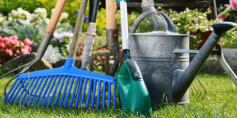Необходимый садовый инвентарь для дачи: Как выбрать инструменты для сада своей мечты