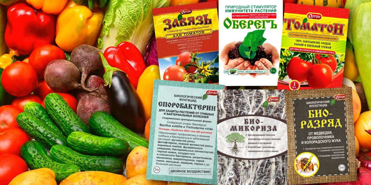 Органические удобрения: Путь к здоровой почве и богатому урожаю