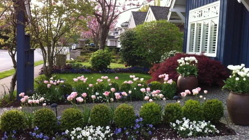 Оформление клумб и цветников: Идеи и вдохновляющие фото