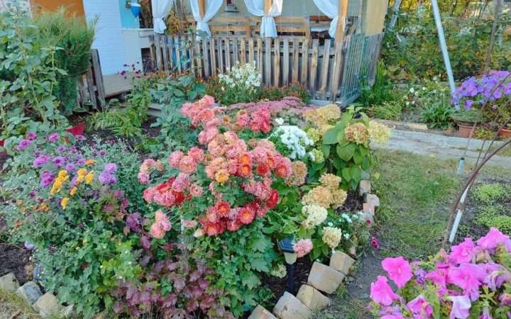 Превращаем дачу в цветущий рай: создаем дизайн цветника своими руками