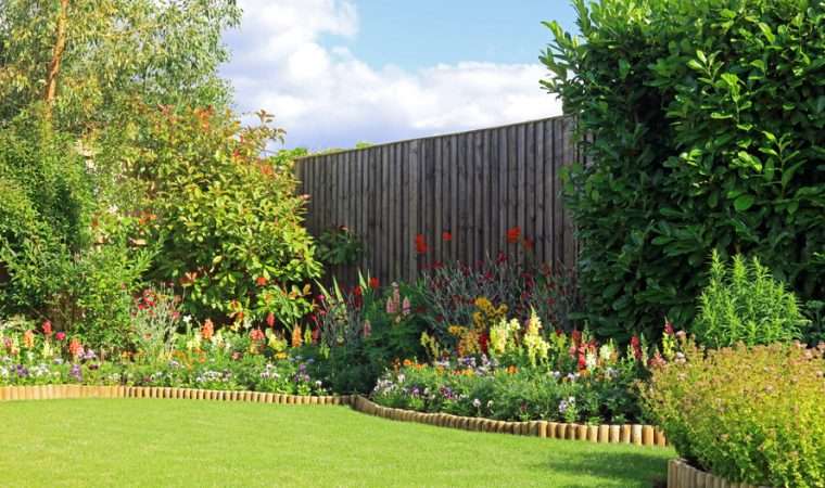 Создание идеального газона на даче: подробная инструкция