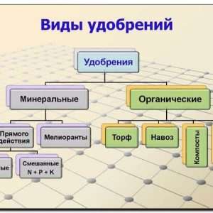 Удобрения: для чего нужны, типы удобрений, как правильно вносить