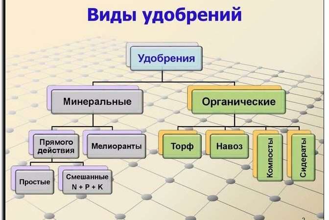 Удобрения: для чего нужны, типы удобрений, как правильно вносить