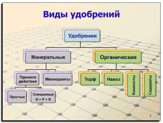 Удобрения: для чего нужны, типы удобрений, как правильно вносить