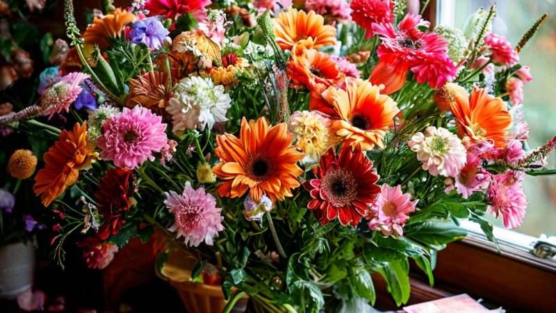 Уход за садовыми цветами: полное руководство