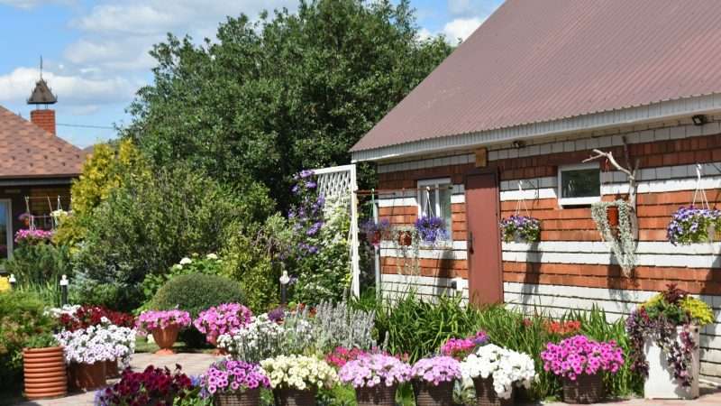 Цветник и клумба: в чем разница и как создать свой райский уголок