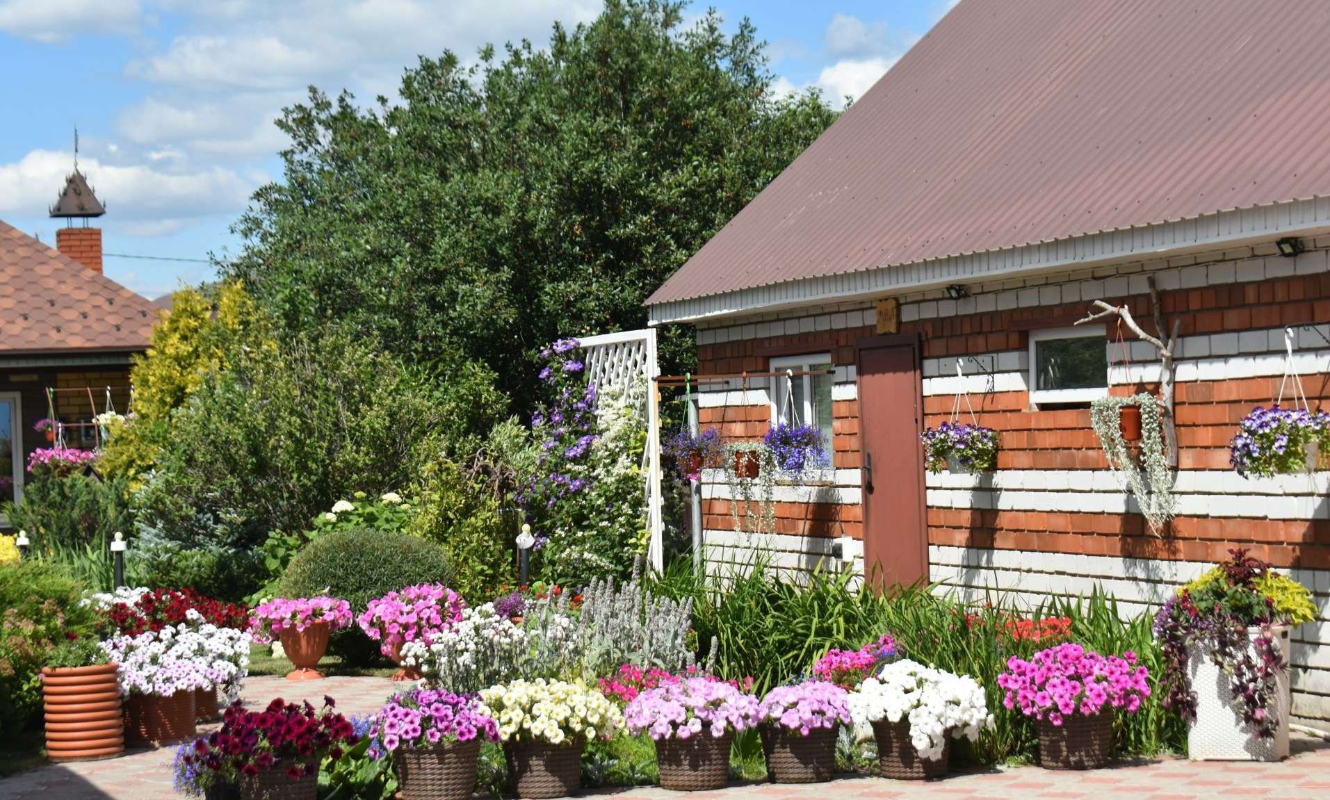 Цветник и клумба: в чем разница и как создать свой райский уголок